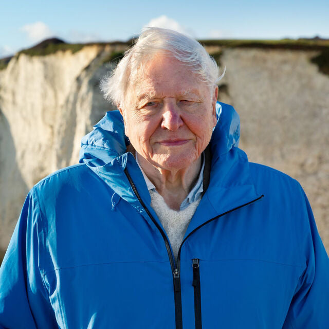 A 100 Years of Sir Daddy David