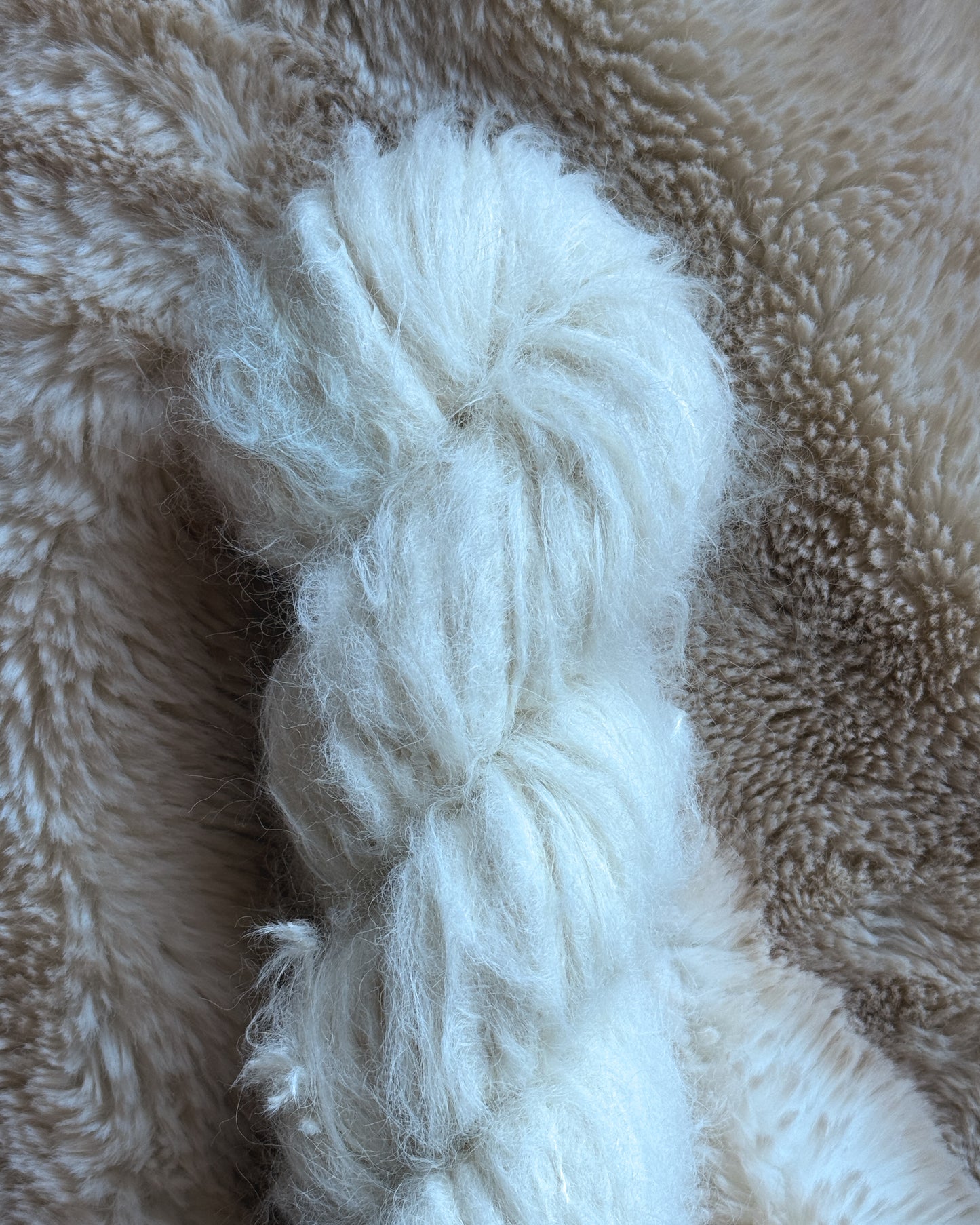 Polar Bare
