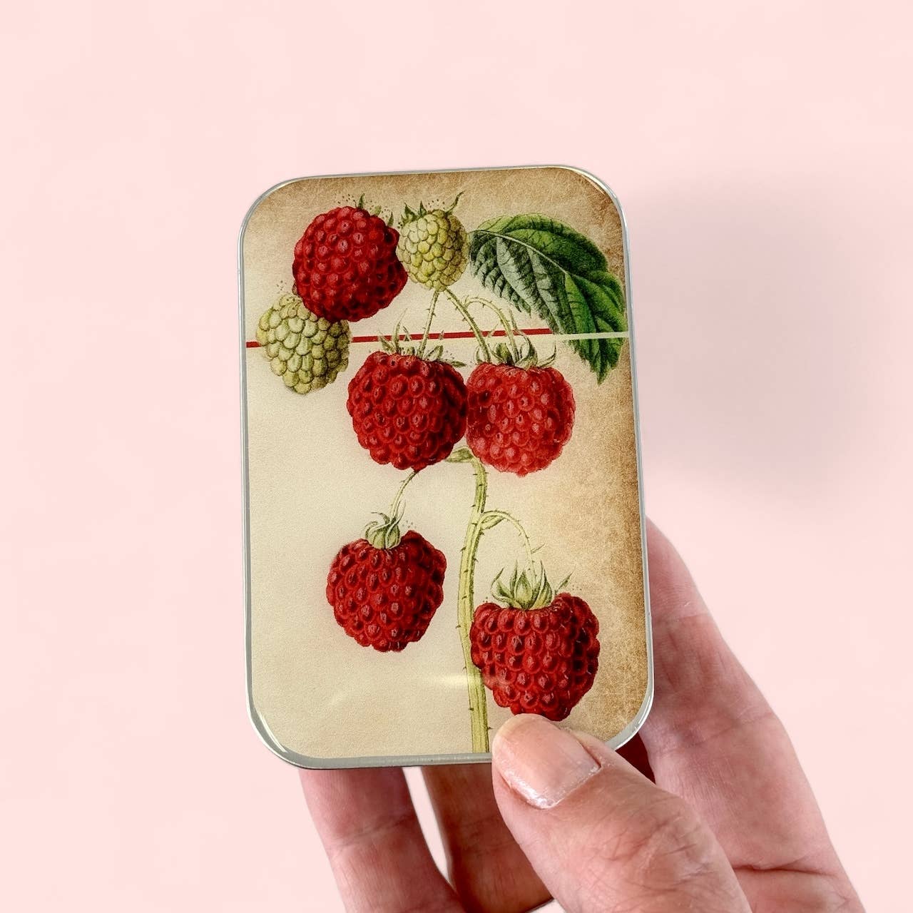 Raspberry LARGE, Notions tin, Stitch marker tin