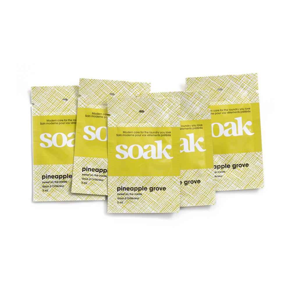 Soak Pineapple Grove 5mL Pack