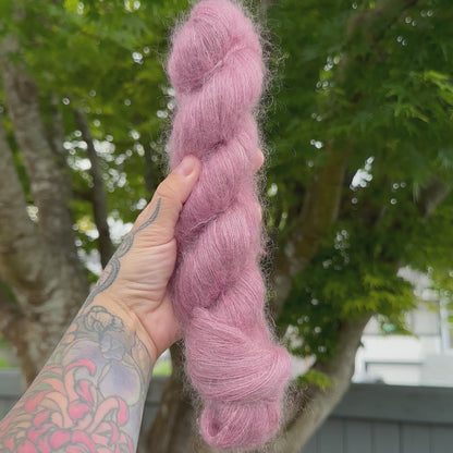 Giant Pink Sea Star