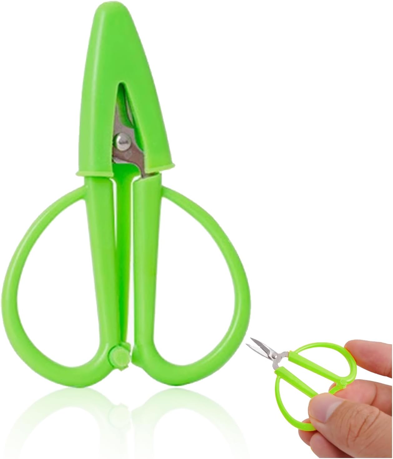 Scissors