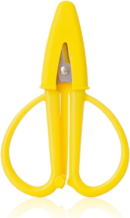 Scissors